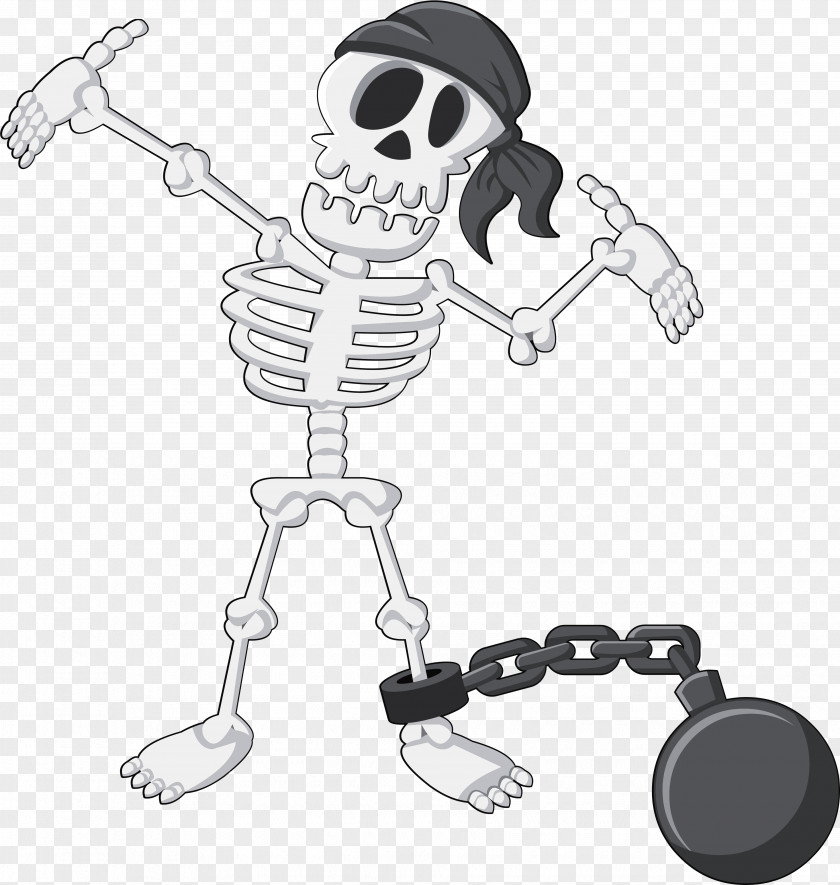 Pirate Skull Human Skeleton Euclidean Vector PNG