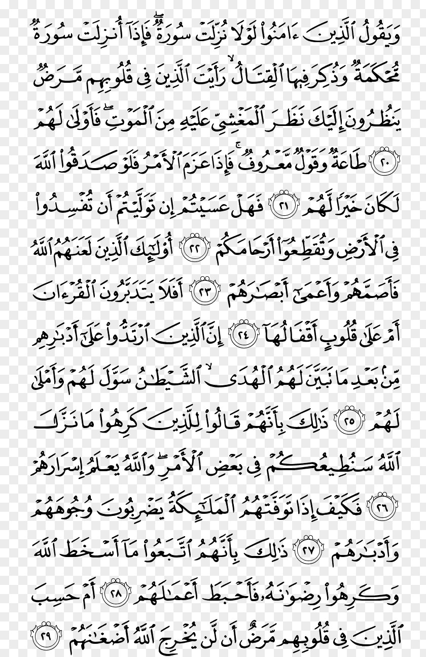 Quran Kareem At-Tawba Al-Qasas Al-Baqara Surah PNG