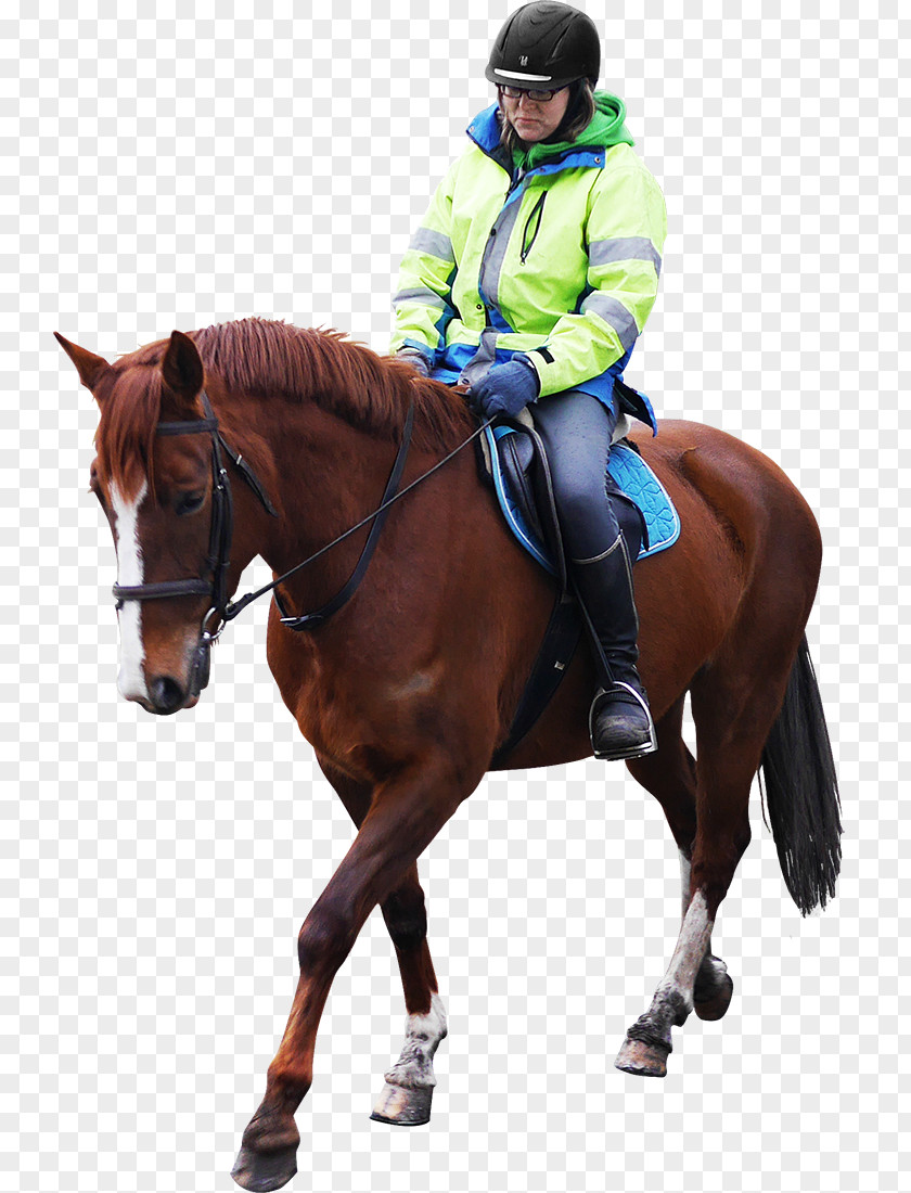 RODEO Horse And Man Equestrian Stable PNG