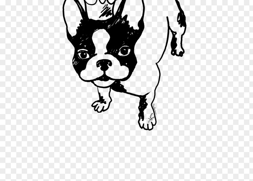 Bulldog Frances French Boston Terrier Puppy Pug PNG