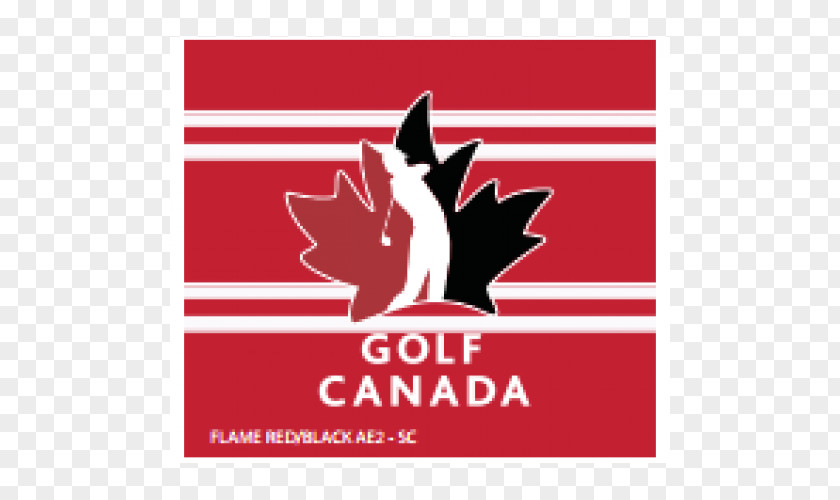Golf Logo Balls Brand Font PNG