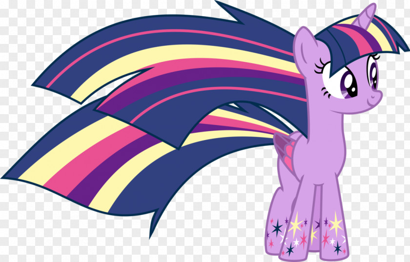 Twilight Sparkle Rainbow Dash Pony Rarity Pinkie Pie PNG