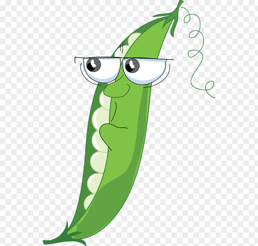Vegetable Snow Pea Clip Art PNG