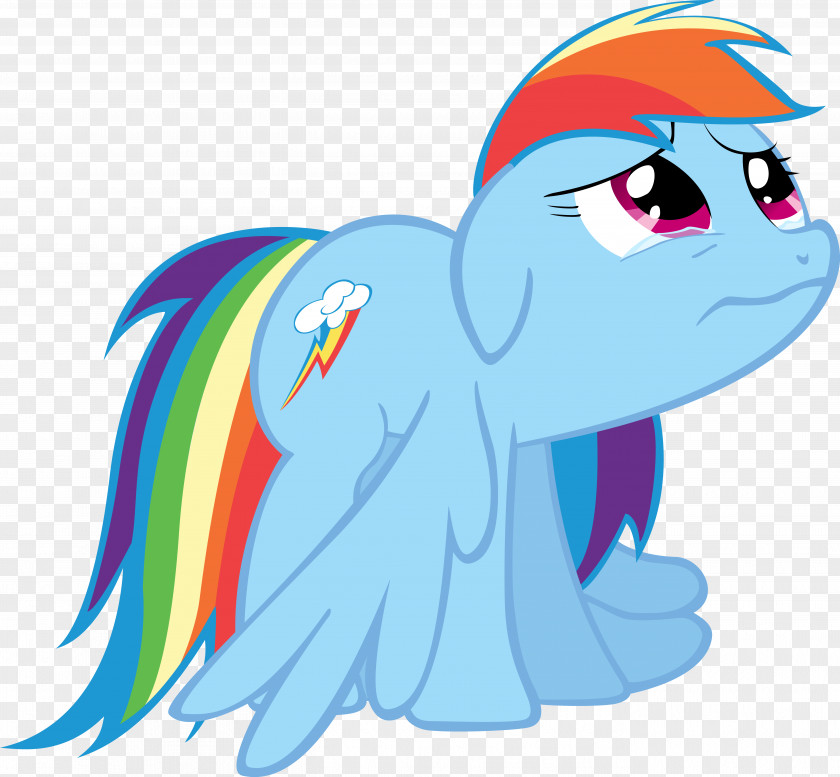 Blind Dating 2013 Rainbow Dash Twilight Sparkle Pony Sadness Pinkie Pie PNG