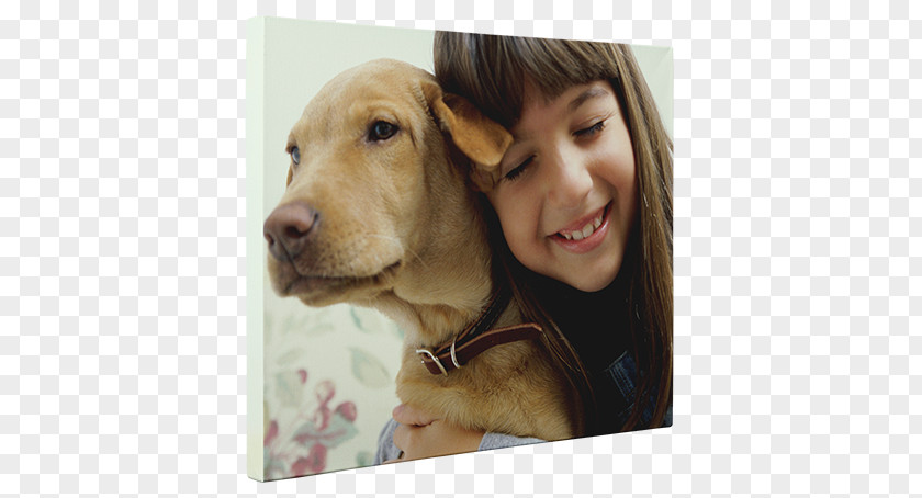 Camera Poster Boxer Child Dog Breed Service Alabama Rot PNG