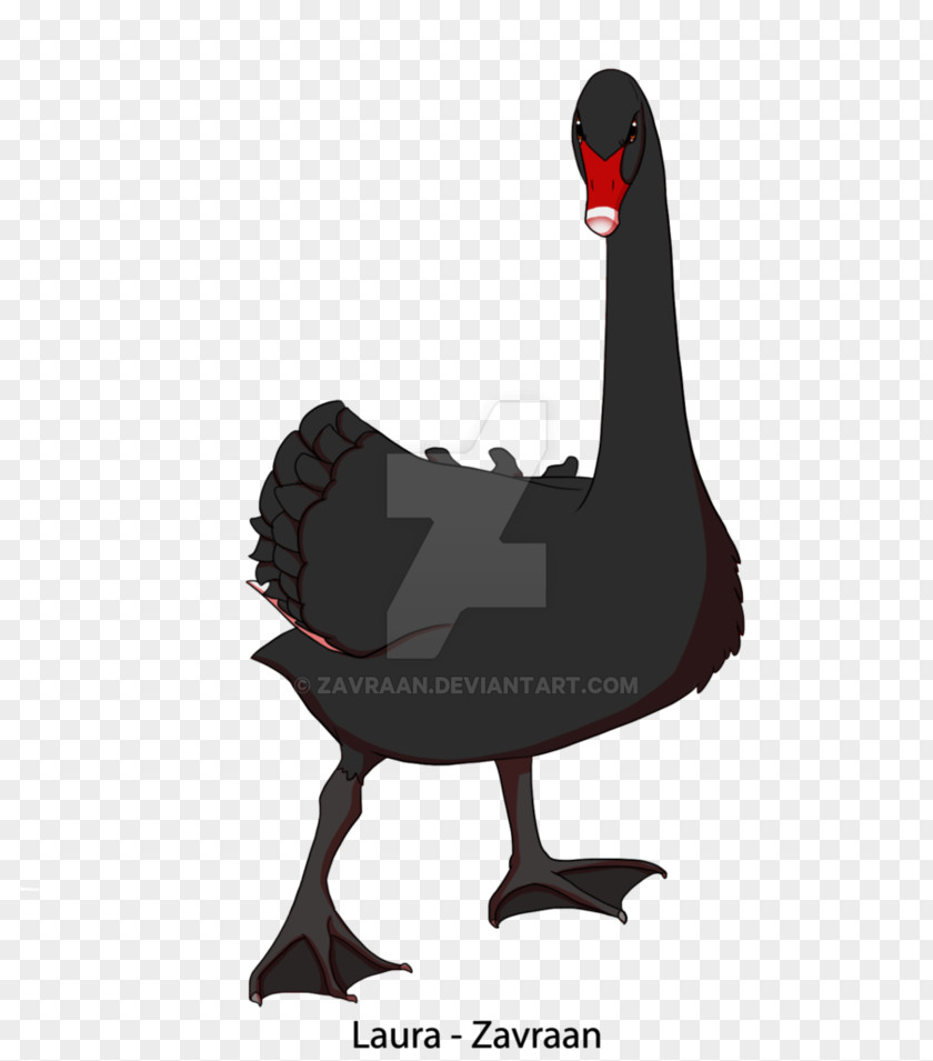 Chicken Comics Goose Duck Cartoon PNG