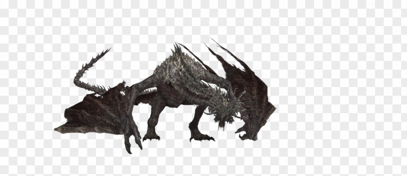 Dark Souls III Wyvern Dragon DeviantArt PNG