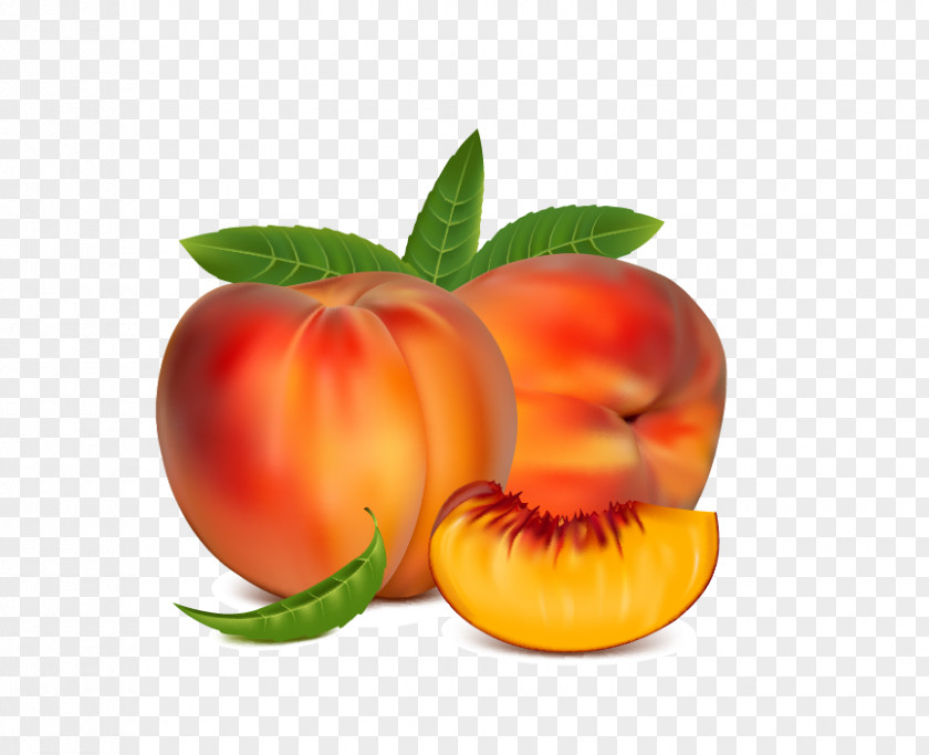 Peach Nectarine Fruit Free Content Clip Art PNG