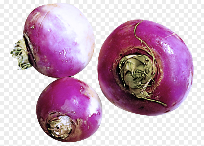 Plant Vegetable Turnip Purple Violet Rutabaga Food PNG