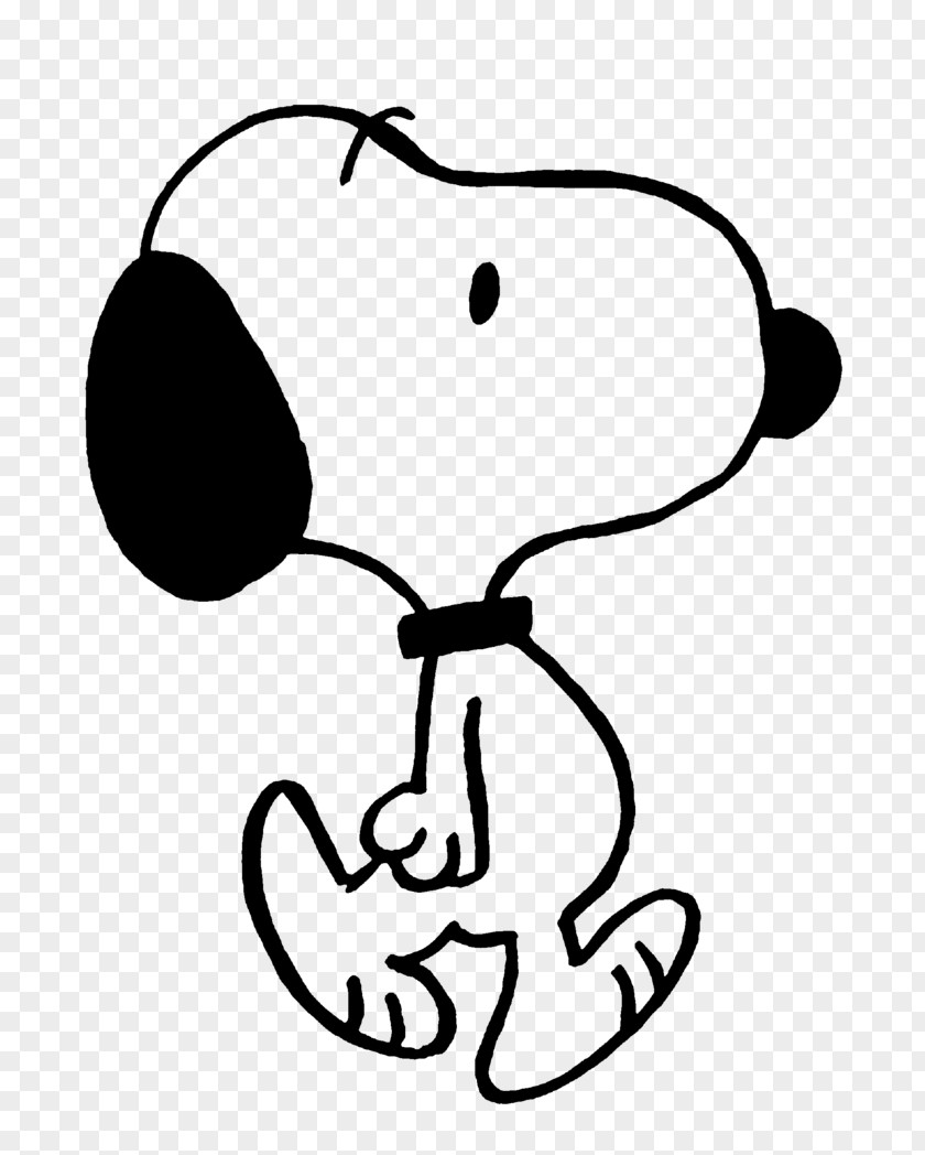 Snoopy Woodstock Greeting & Note Cards Birthday Aladdin Sane PNG