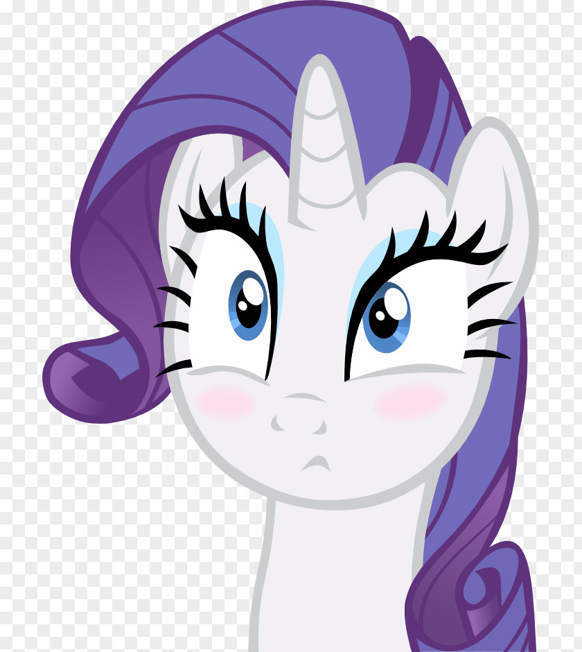 Wtf. Vector Rainbow Dash Rarity Applejack Pinkie Pie Fluttershy PNG