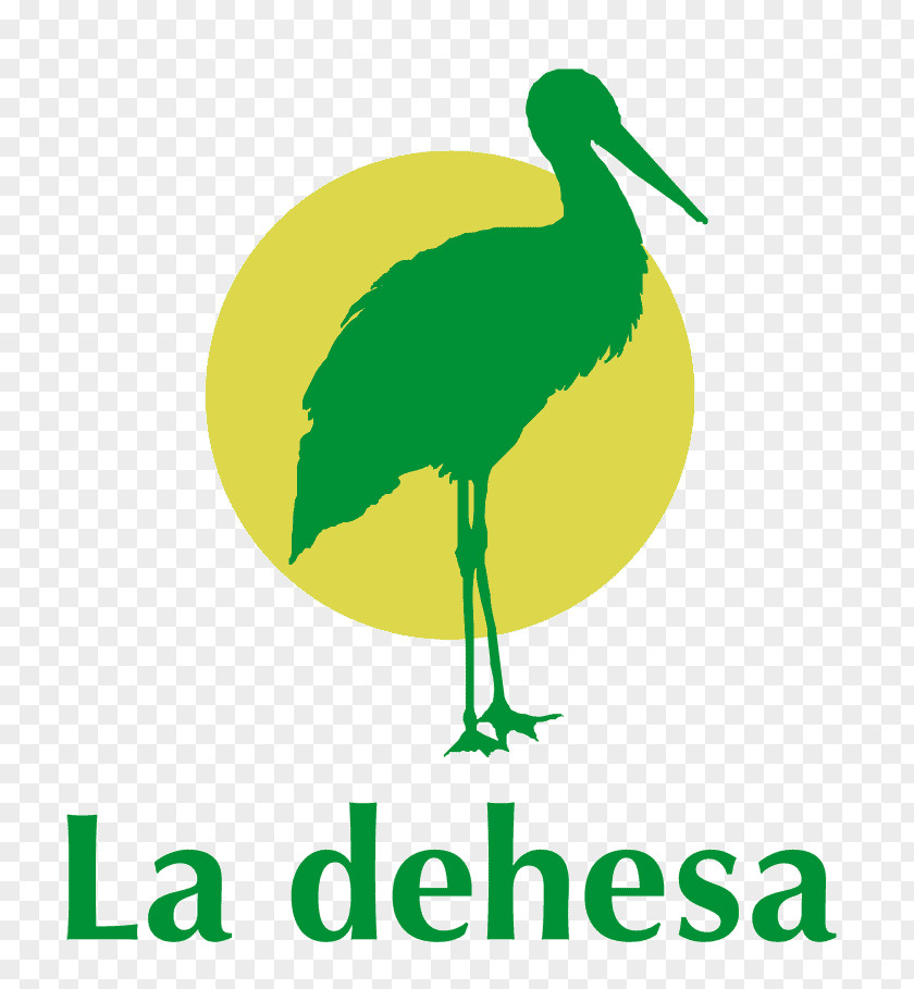 Alberca Restaurante La Dehesa • PISCINA EVENTOS ACTUACIONES Menu Swimming Pool Beak PNG