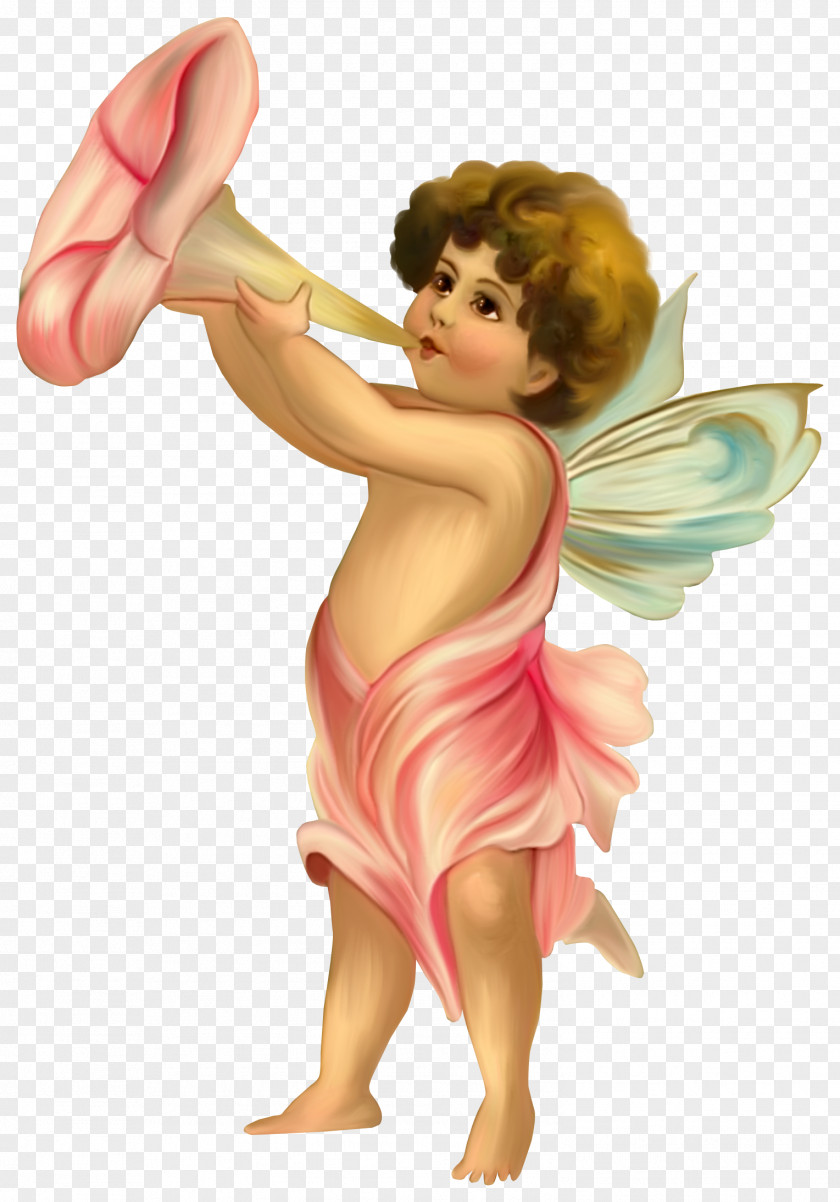 Fairy Putto Angel PNG