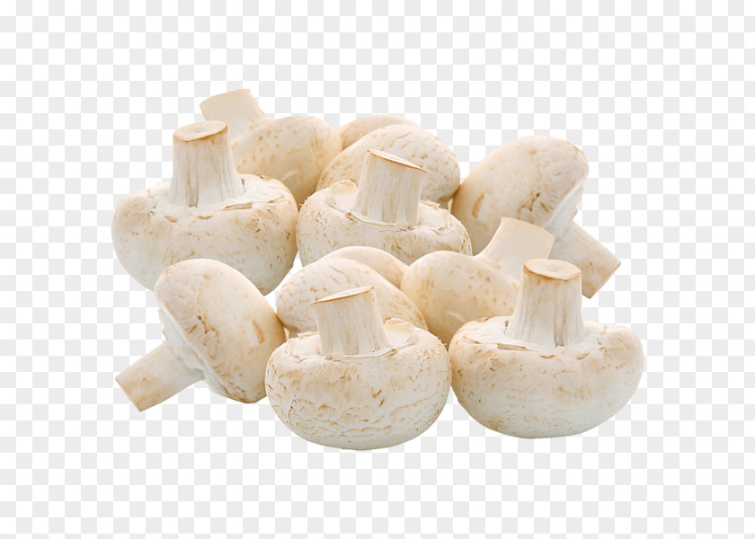 Common Mushroom Fungus REWE Pleurotus Eryngii Online Grocer PNG