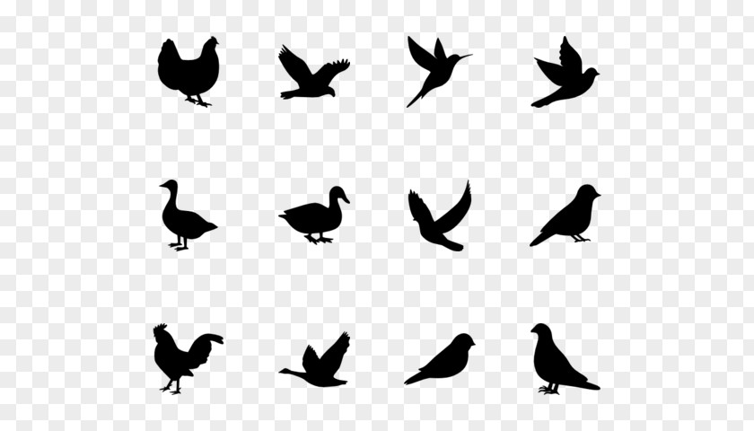 Silhouette Birds Water Bird Beak Black PNG