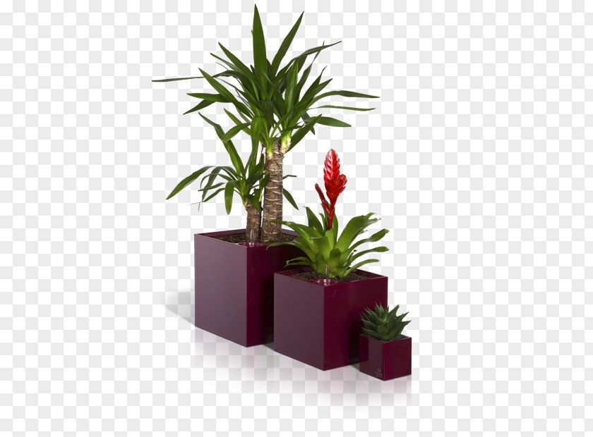 Small Potted Plants Flowerpot Garden Вазон PNG