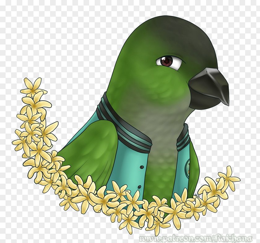 Bird DeviantArt Fan Art Beak Drawing PNG