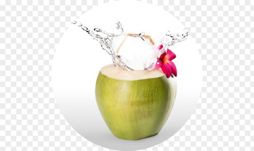 Coconut Water Stock Photography Juice Green PNG