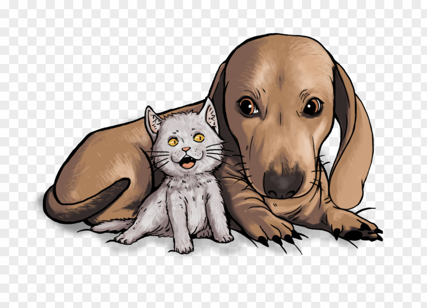Dog And Cat Puppy Whiskers Canidae PNG