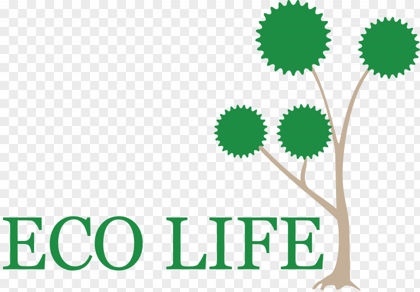 Eco Life Tree PNG