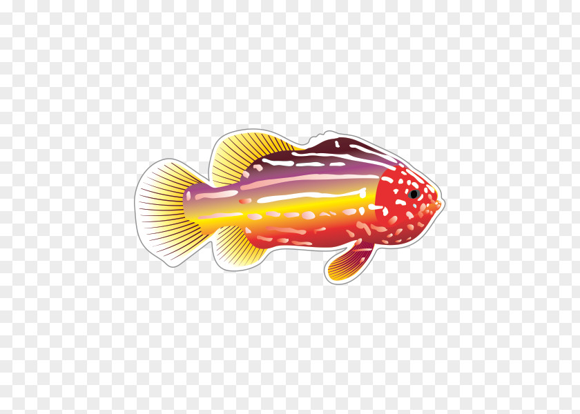 Fish Drawing Clip Art PNG