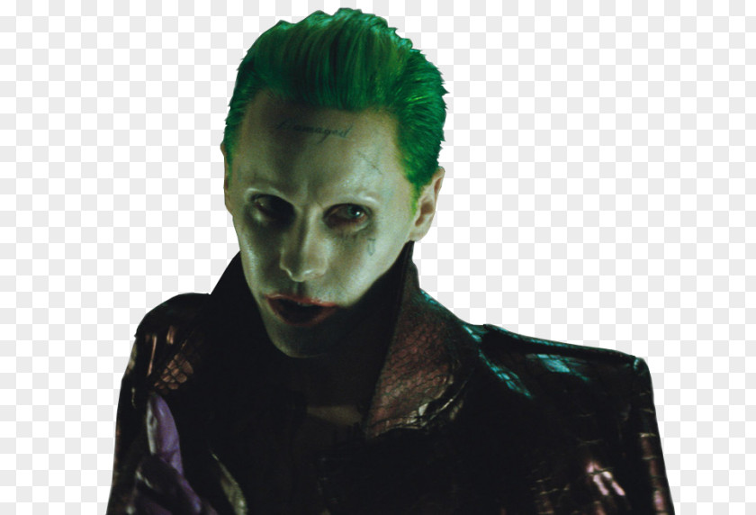 Joker Harley Quinn Film Director Actor PNG