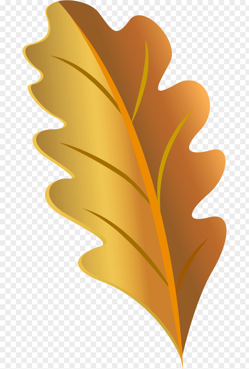 Leaf Font M-tree Petal Meter PNG