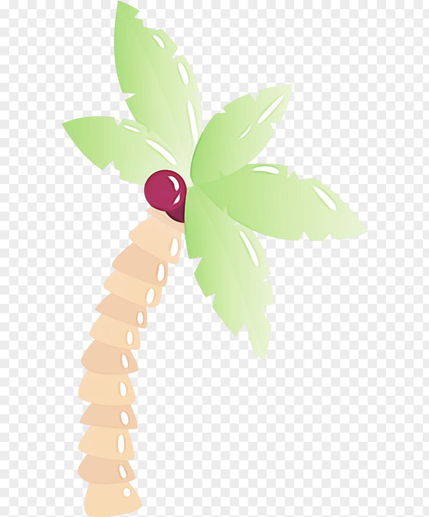 Leaf Plant Stem Insects Flower PNG