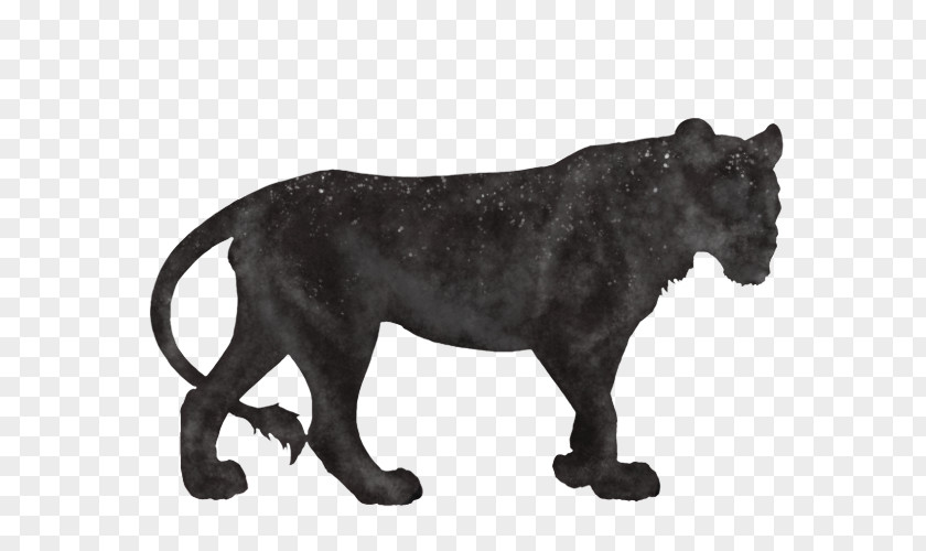 Lion Panther Big Cat Cougar PNG