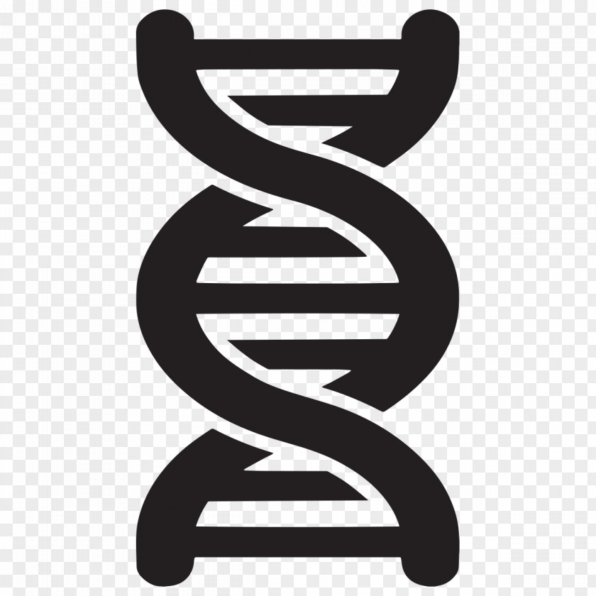 Symbol DNA Profiling Nucleic Acid Double Helix Clip Art PNG