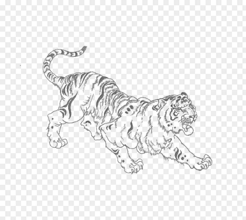 Tiger Golden Lion PNG