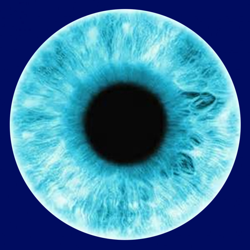 Eyes Human Eye Iris Pupil PNG