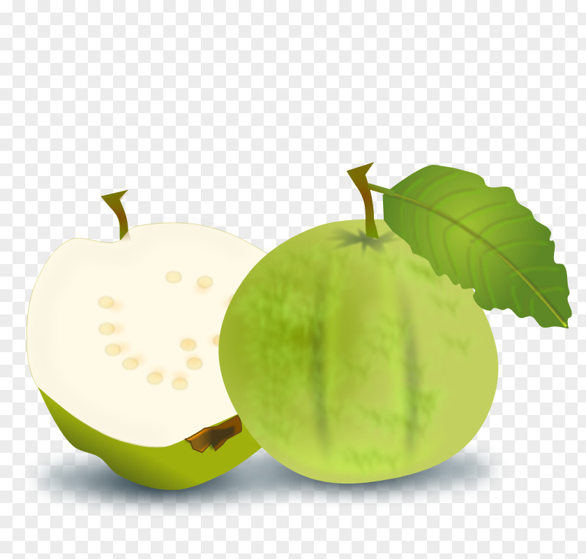 Fruits Picture Juice Common Guava Fruit PNG