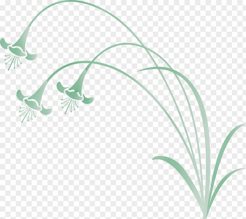 Leaf Plant Lily Of The Valley Grass Flower PNG