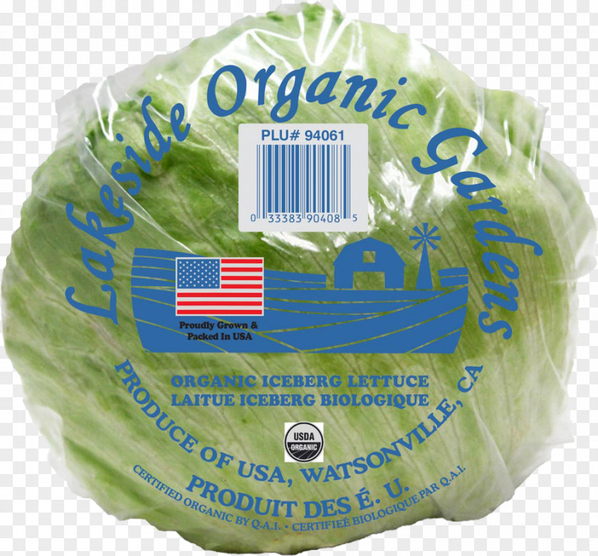 Lettuce Head Lakeside Organic Gardens Produce Product Vegetable Ship PNG