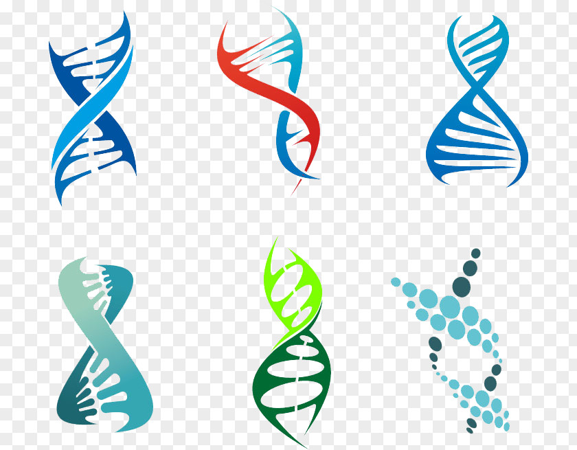 Line DNA Vector Genetics Royalty-free PNG