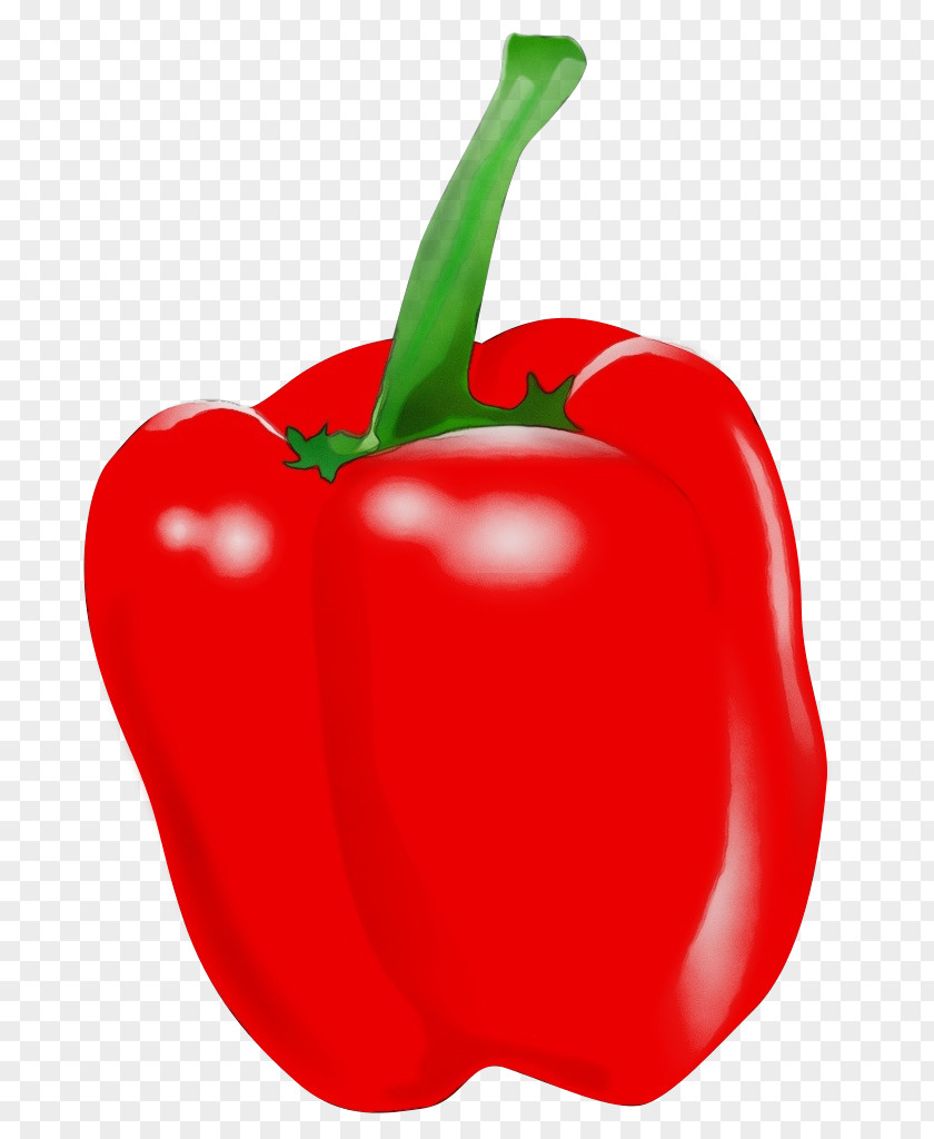 Paprika Plant Pimiento Bell Pepper Natural Foods Vegetable Red PNG