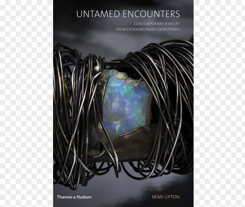 Tea Bag Untamed Encounters: Contemporary Jewelry From Extraordinary Gemstones Lipton PNG