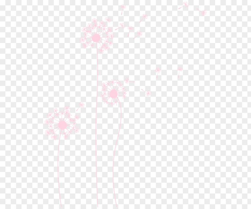 Diente Common Dandelion Color Pink Drawing Wall PNG