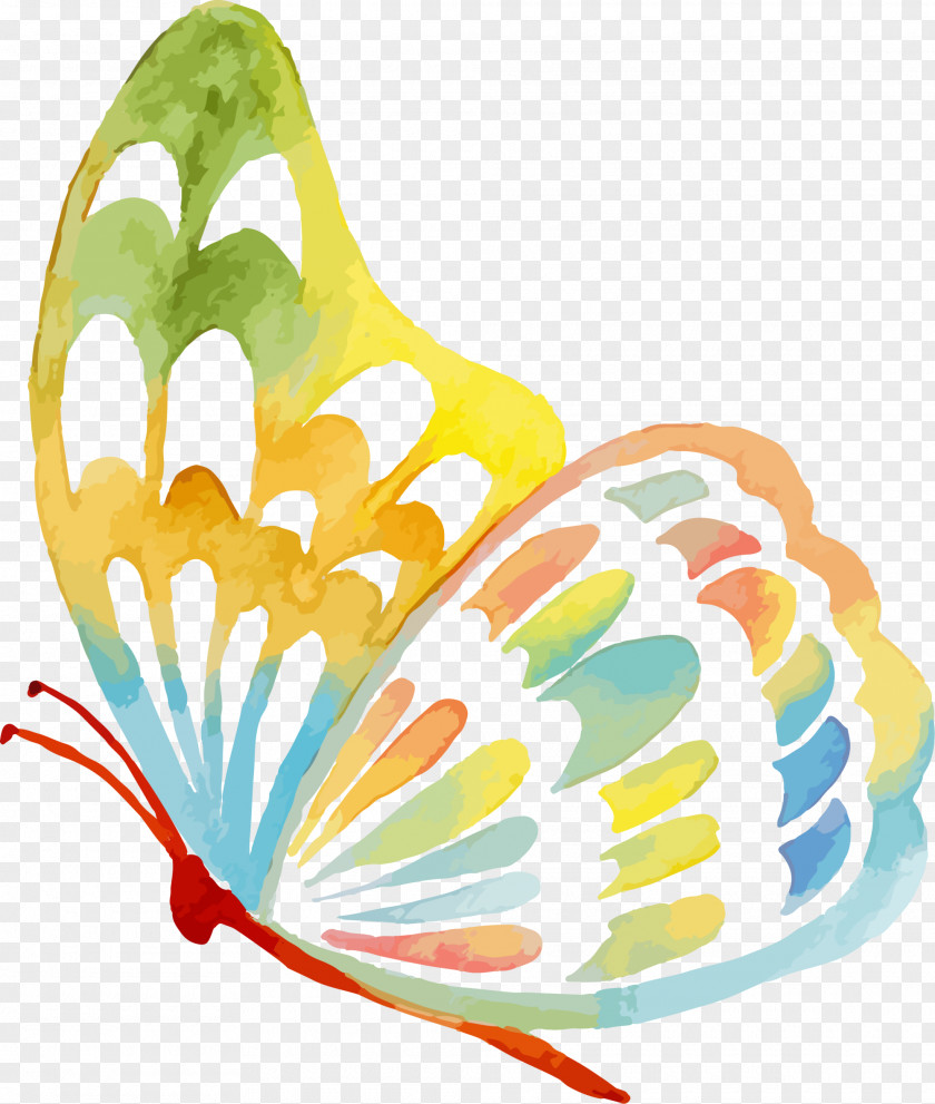 Green Butterfly PNG