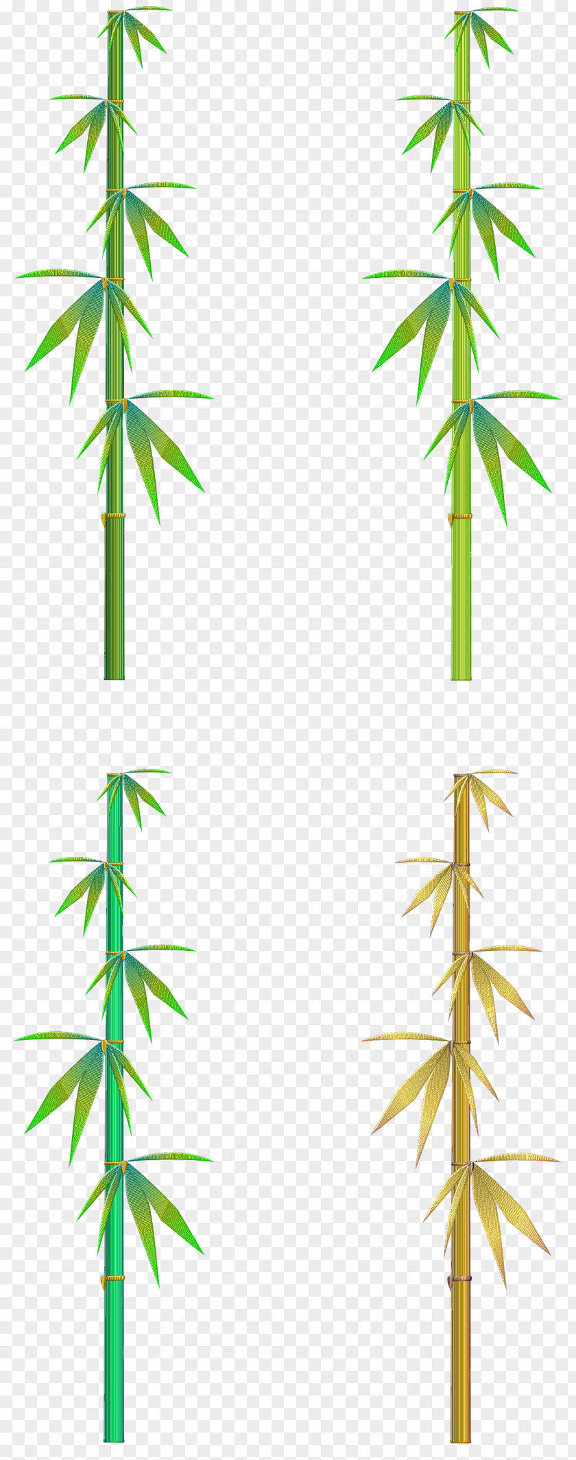Line Hemp Angle Cannabis PNG