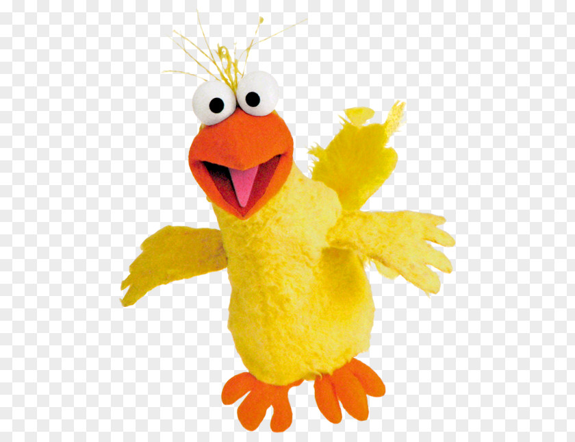 Sesame Big Bird Cookie Monster Mr. Snuffleupagus Zoe PNG