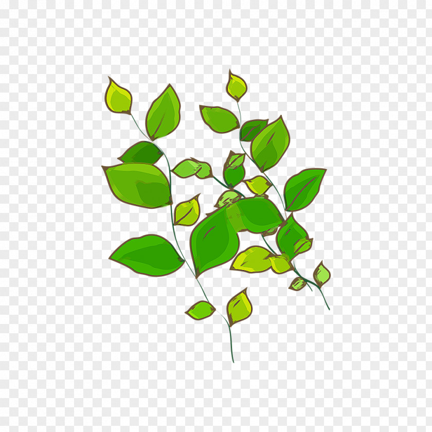 Green Leaves Leaf Plant Computer File PNG