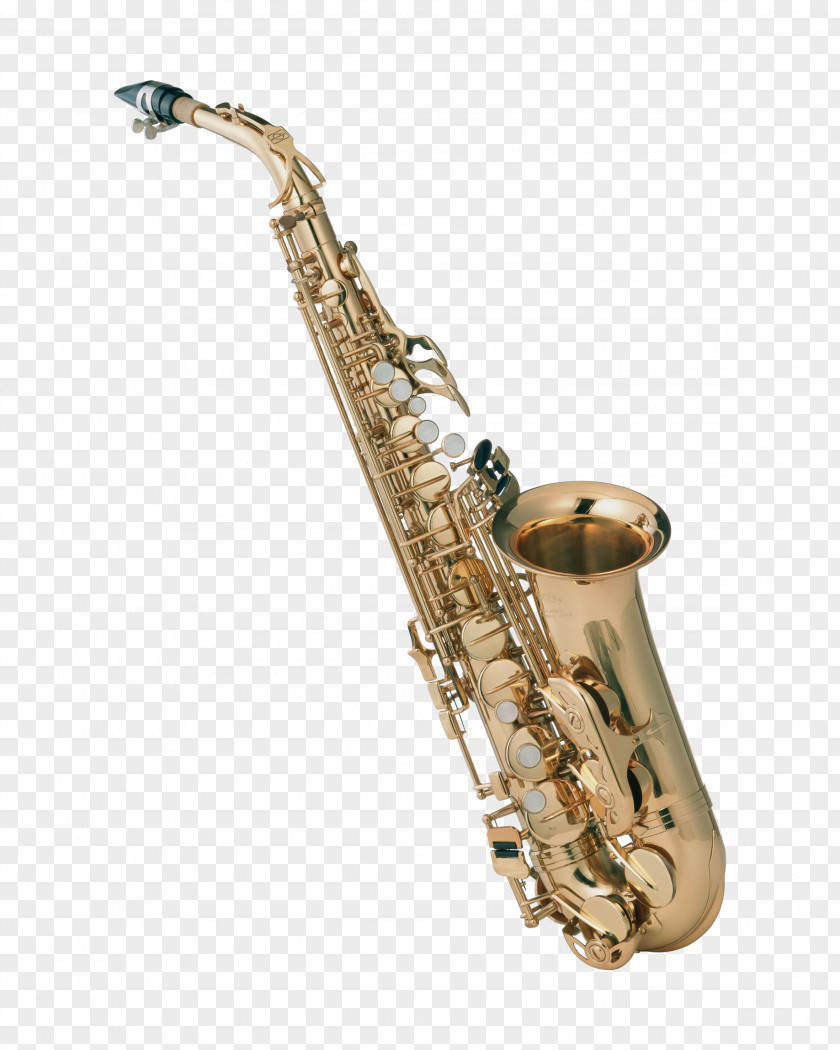 Musical Instruments Saxophone Instrument PNG