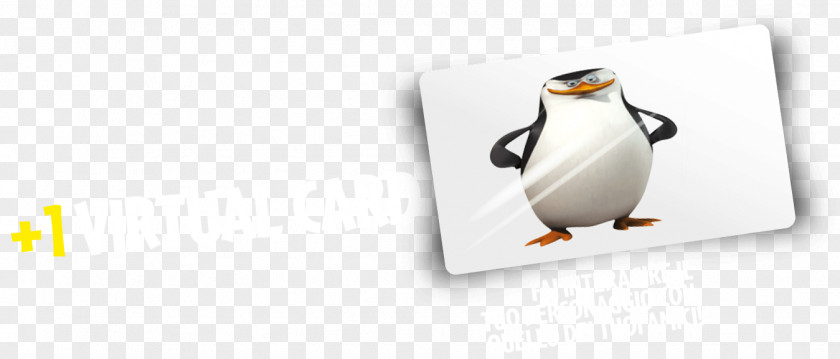 Penguin Product Design Brand PNG