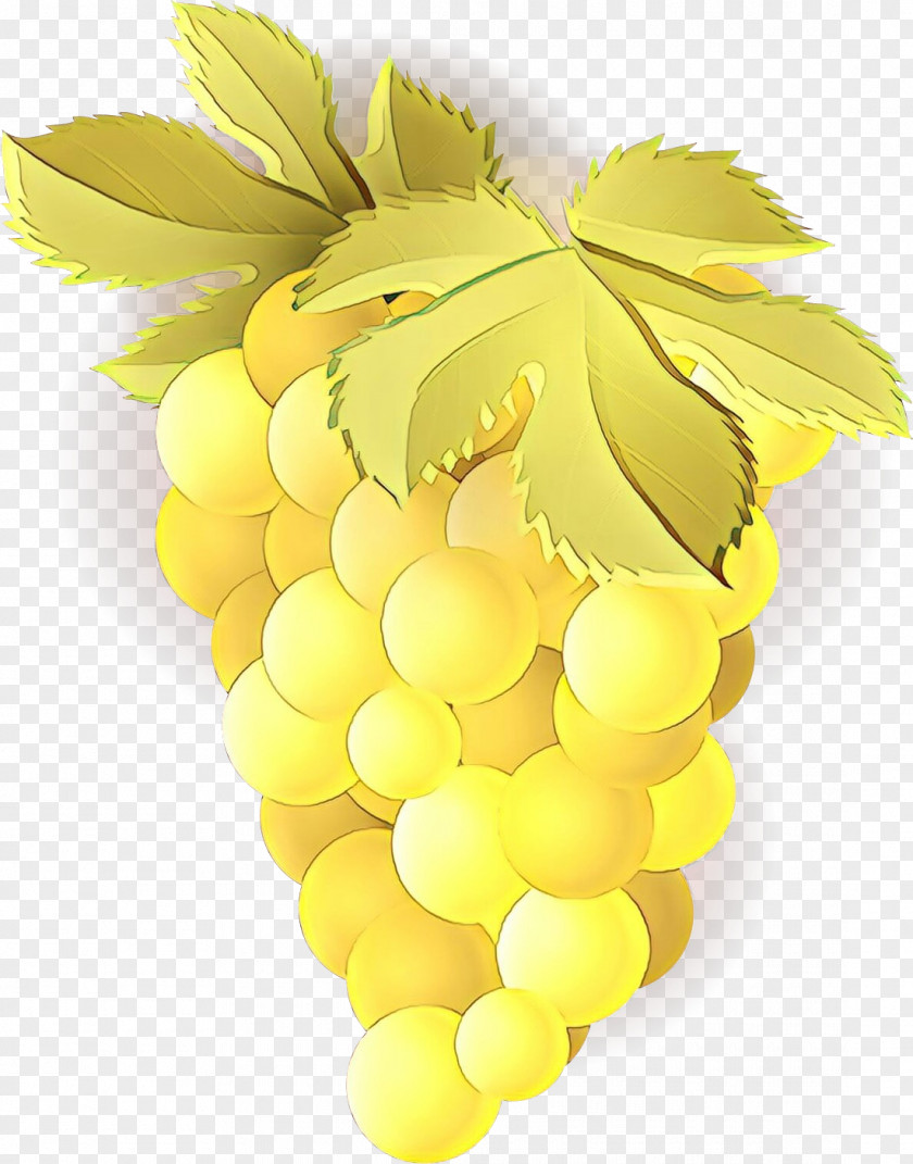Sultana Plant Grape Yellow Grapevine Family Fruit Seedless PNG