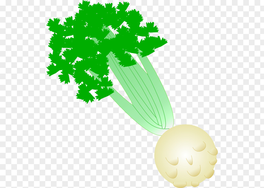 Cartoon Celery Celeriac Soup Vegetable Dieting Clip Art PNG