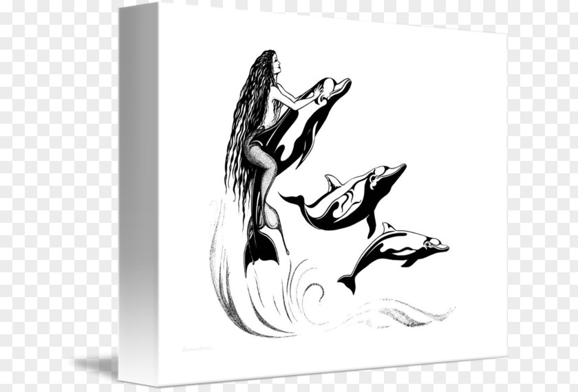 Drawing Ink Art Dolphin PNG