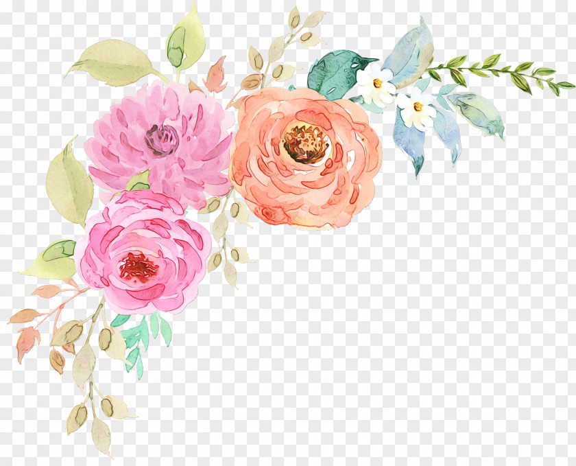Garden Roses Cabbage Rose Floral Design Nosegay Flower Bouquet PNG