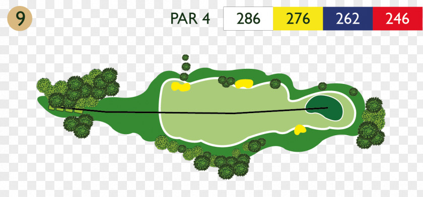 Golf D'Abbeville Course Clubs PNG